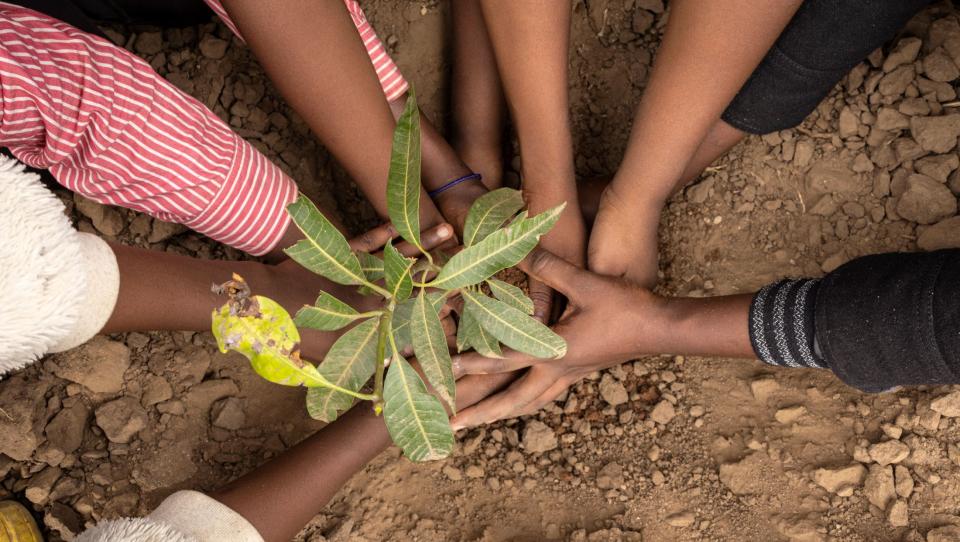 Día Mundial del Clima: concienciar y reflexionar 