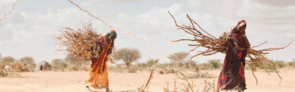 Refugiados climático